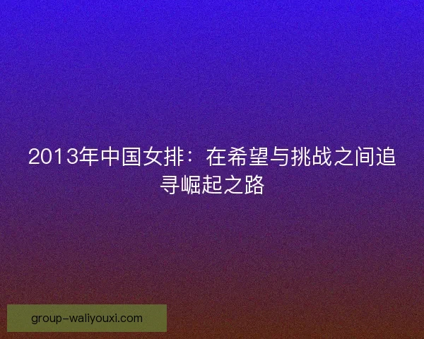 2013年中国女排：在希望与挑战之间追寻崛起之路